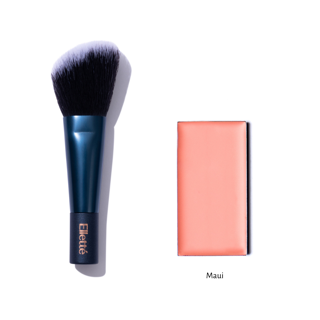 Multi-Cream and Blush Brush Sample Set